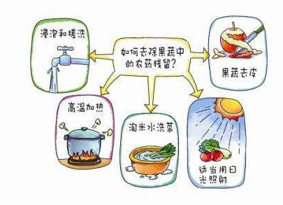 如何減少農(nóng)藥污染去除農(nóng)藥殘留？振華化工總結(jié)以下幾點(diǎn)分享給大家